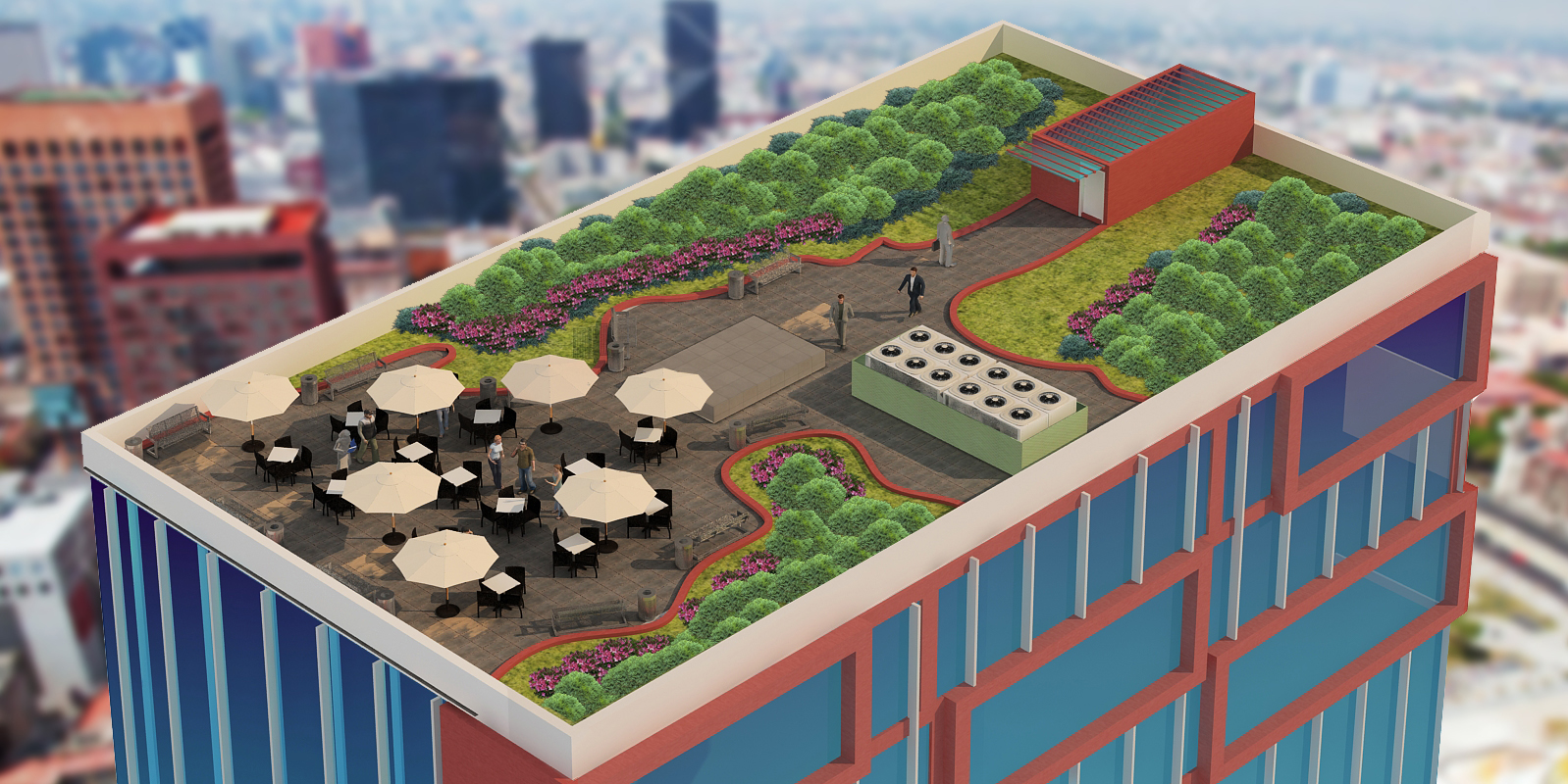 Roof garden, Mariano Escobedo 48